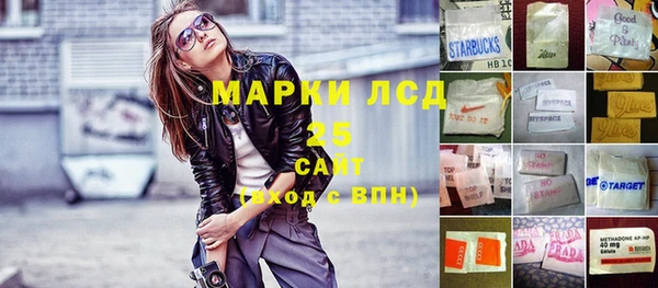 молекула духа Арсеньев